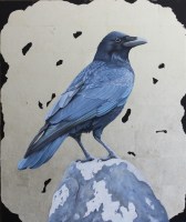 clive-meredith---common-crow-cm001