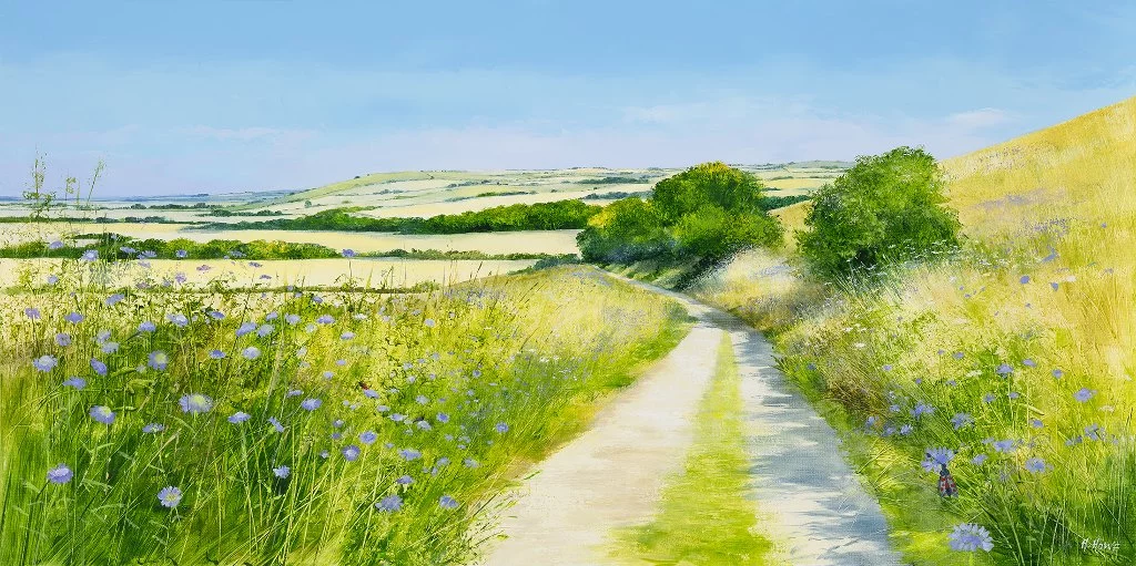 heather-howe-summer-on-the-downs