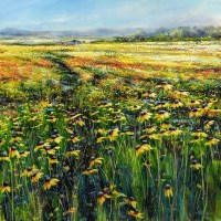 kara-strachen-yellow-daisy-field