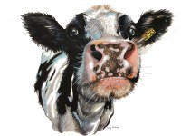 lucy-cortese---dairy-cow