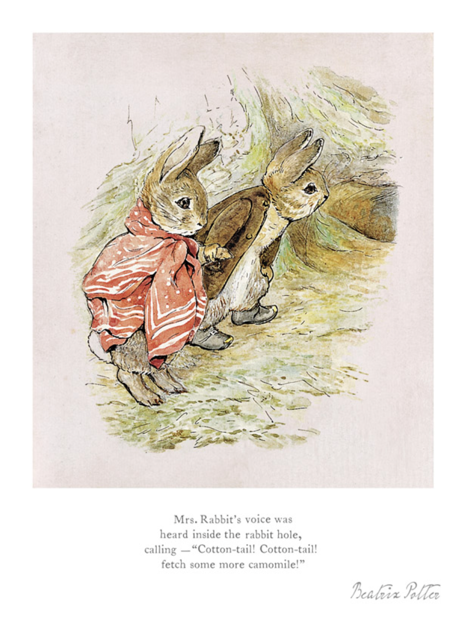 Mark Heard Rabbit OUR ART : Mrs Rabbit's Voice Was Heard