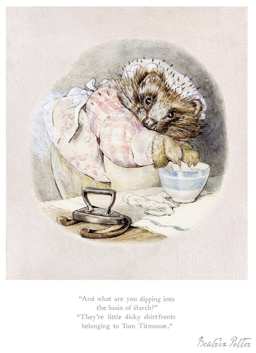 beatrix-potter-they're-little-dicky-shirtfronts