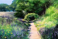 heather-howe-lavender-walk