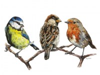 lucy-cortese---trio-of-birds